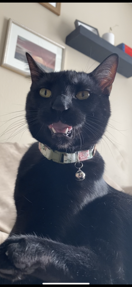 Jasper