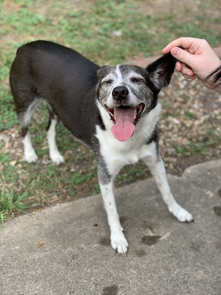 Pip 