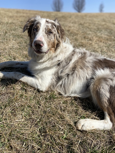 Jax