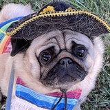 Entry image for Margarita 