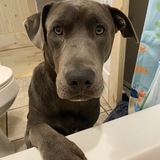 Entry image for Emmet