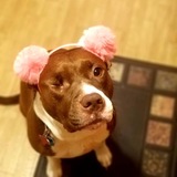 Entry image for Heidi