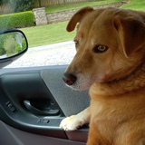 Entry image for Jake the bum 