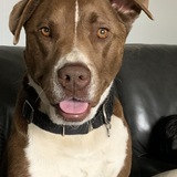 Entry image for Hunter James