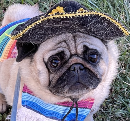 Entry image for Margarita . Clicking this image will show a larger photo