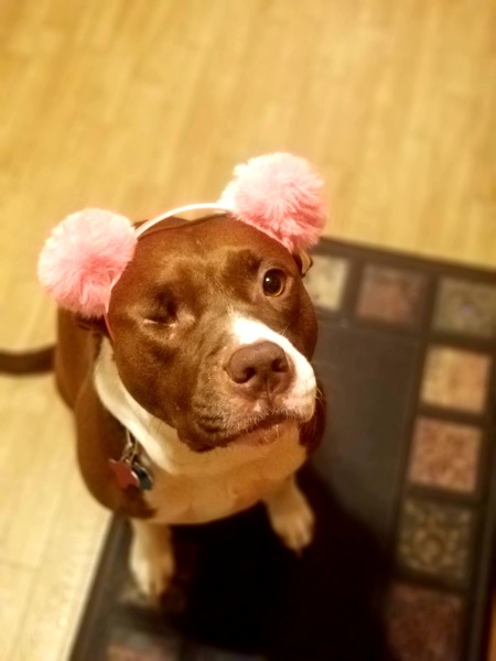 Entry image for Heidi. Clicking this image will show a larger photo