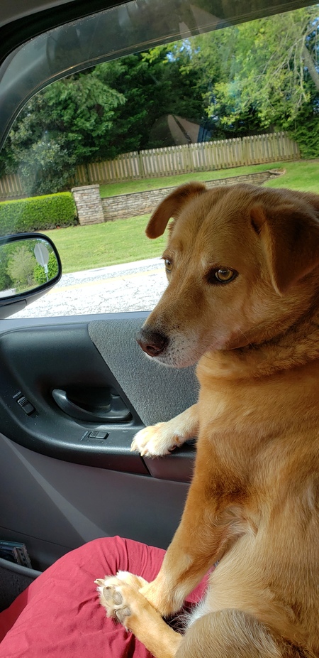 Entry image for Jake the bum . Clicking this image will show a larger photo