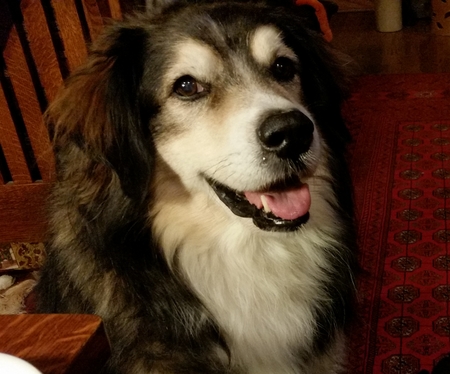 Franklin 