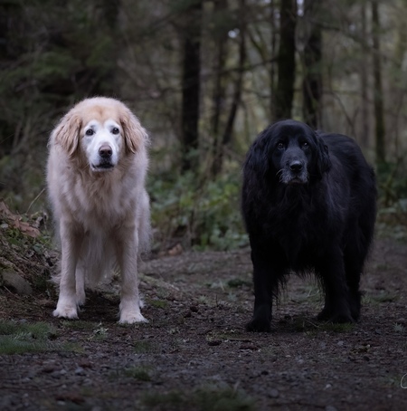 Lucy & Shyla