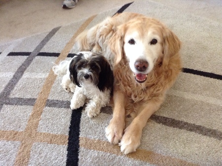 Skye & Friend