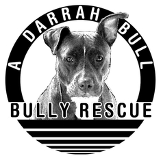 Logo for 5th Annual ADBBR Show Us Your Pits 2023 Calendar Contest