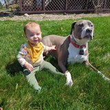 Entry image for Otis