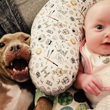 Entry image for Teef