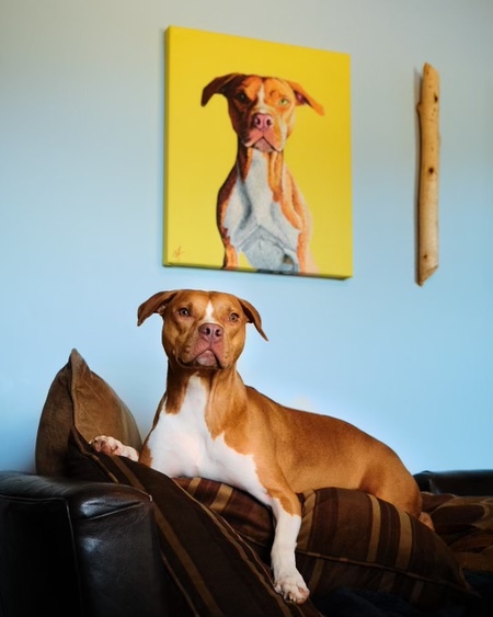 Entry image for Apricot, aka “Cottie”. Clicking this image will show a larger photo