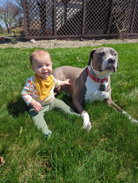 Entry image for Otis. Clicking this image will show a larger photo