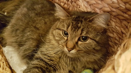 Zoe