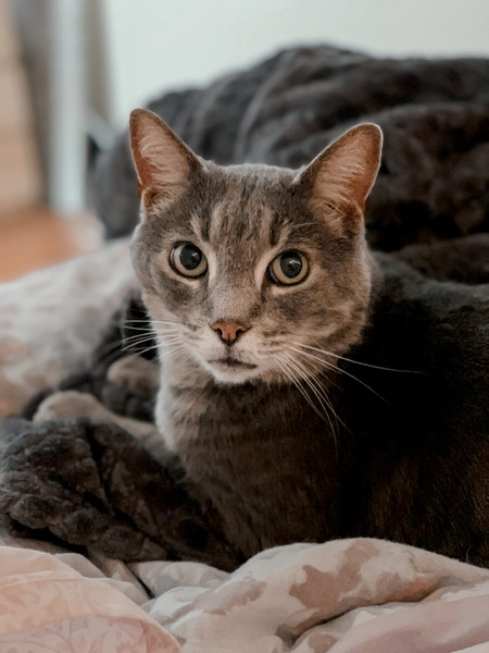 Milton