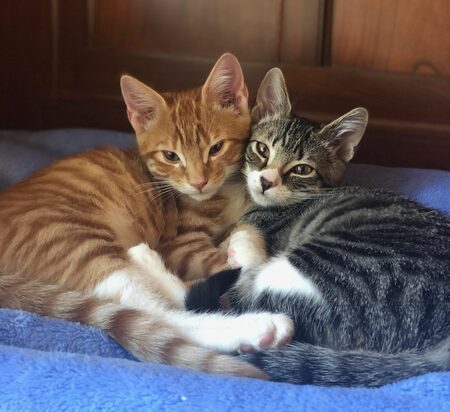 Berty & Wednesday