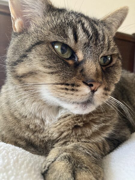 Zoe