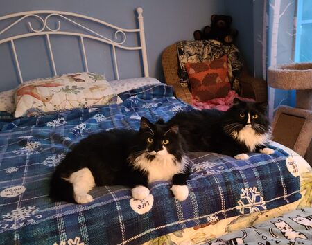 Ronnie & Jimmie