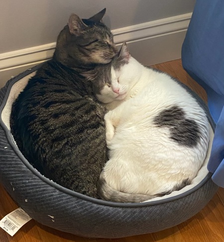 Max and Suzy