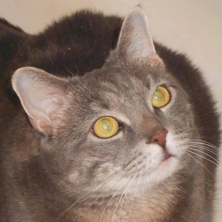 Minya