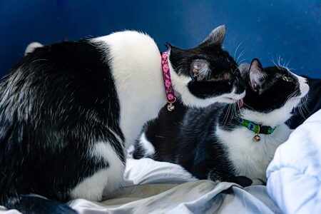 Peeta & Manny