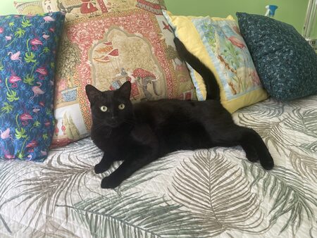 Kiki