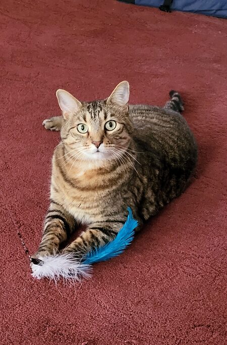Sandal