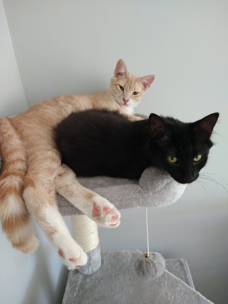 Greta & Teddy