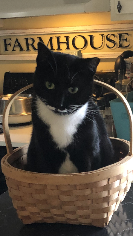 Squeak aka Pringle