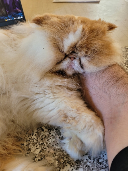Brimley