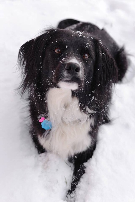 Libby (Liberty)