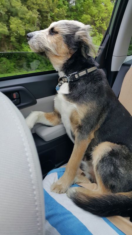 Newman