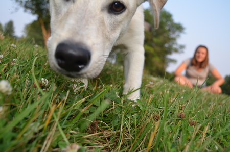 Daisy