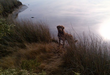 Sport - Misty morning on the creek