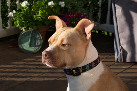 Rita/Winnie