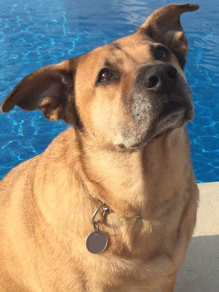 RUFUS