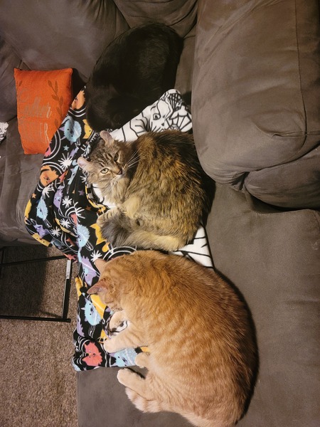 Sioux, Earl, and Fernando
