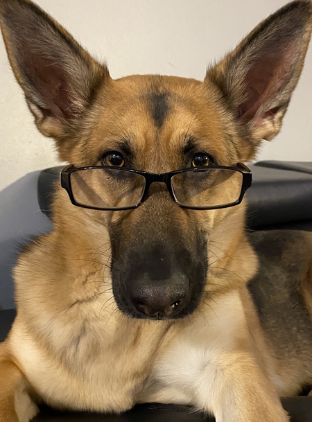Nova