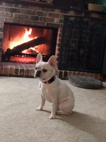 Lola