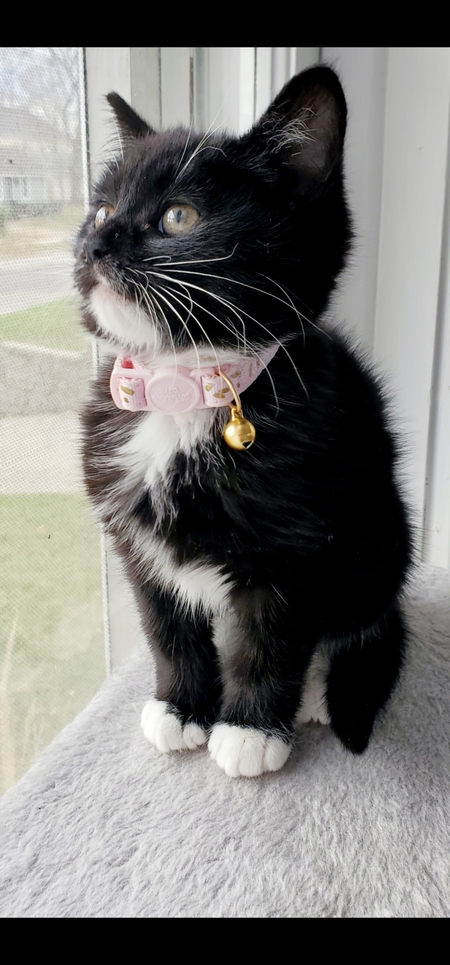 Zuri