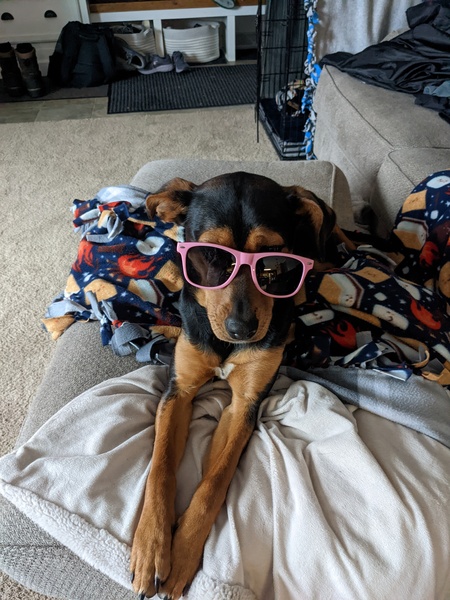 Roxy