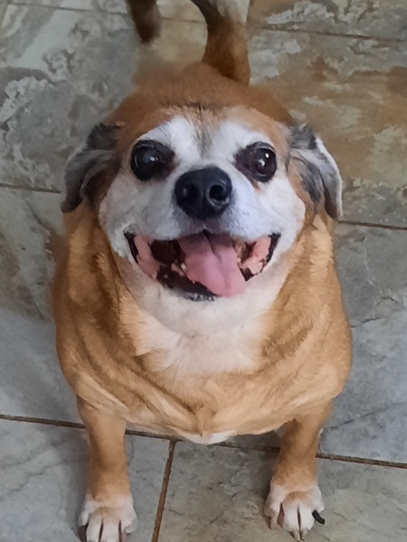 Cooper