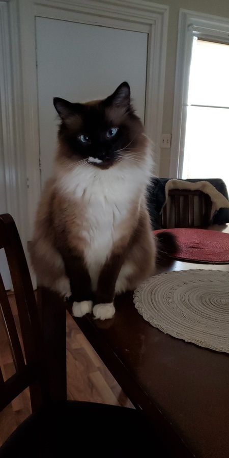 Clyde