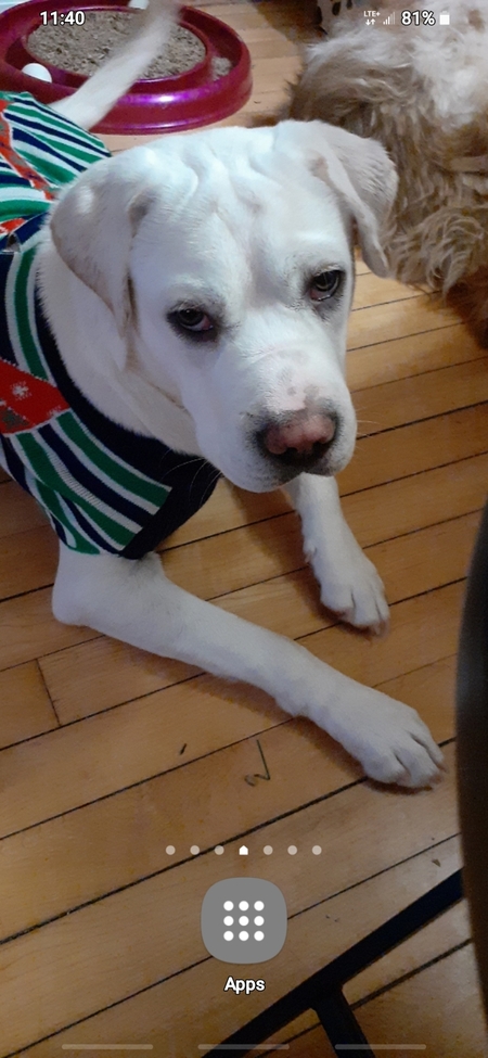 Lenny