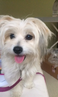 Lucy