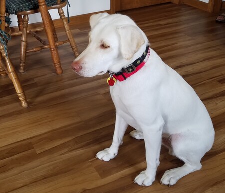 Casper