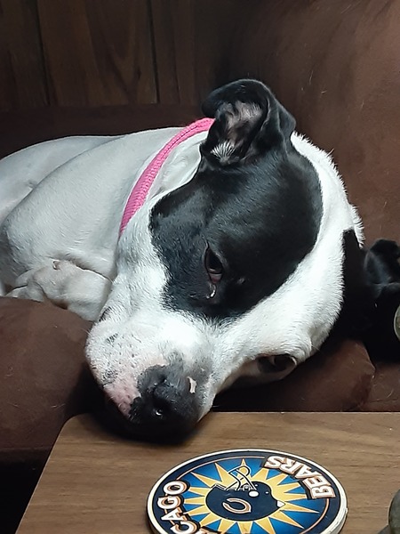 Xena