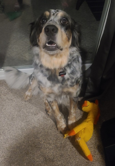 Maggie